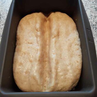 Toastbrot low-carb glutenfrei sojafrei eiweissbrot Paleo Backmischung Brot keto