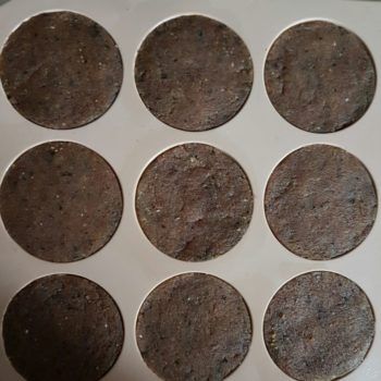 Rezept Spekulatius Kürbiskern Himbeer Cookies lowcarb glutenfrei keto