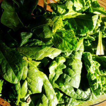 Rezept Spinat Feta Strudel lowcarb glutenfrei keto