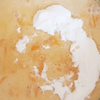 Rezept Marillen Aprikosen Kollagenpudding lowcarb glutenfrei