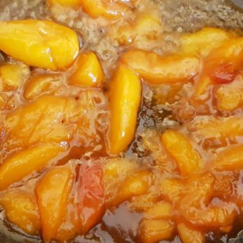 Rezept Marillen Aprikosen Kollagenpudding lowcarb glutenfrei