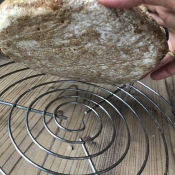 Rezept Galette mit Früchten und Kollagen lowcarb glutenfrei