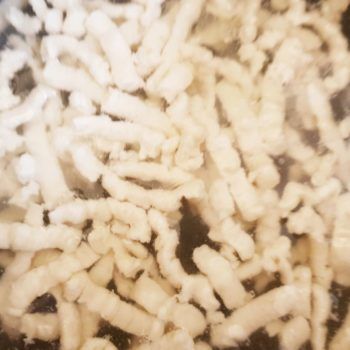 Rezept Mohn Quark Spätzle mit karamellisierten Aprikosen-Marillen lowcarb glutenfrei