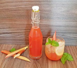 Rezept Rhabarber Karamell Sirup lowcarb