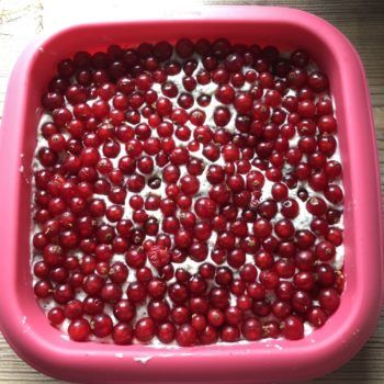 Rezept Johannisbeer-Mohn-Torte lowcarb glutenfrei keto