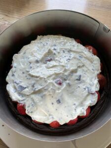 Rezept Maulwurftorte mit Erdbeeren lowcarb keto glutenfrei