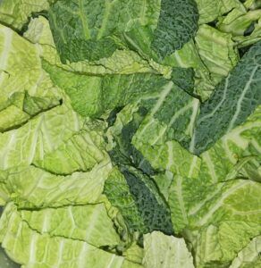 Wirsing Ricotta Quiche mit Speck und Walnüssen low-carb keto glutenfrei